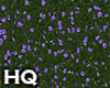 Grass & Flowers Violet