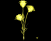 yellow crystal rose