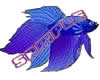 BlueFish-FR
