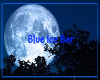 Blue Ice Bar
