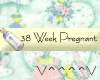 38 Weeks Pregnant (y)