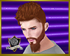 :XB: Aachen Hairstyle G