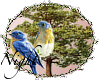 † Blue Birds and Tree