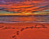 FootPrints In Sand Photo