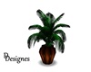 jazz lounge plant