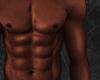 LEO Skin V10
