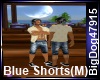 [BD] Blue Shorts(M)