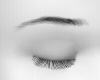 Brows BLACK