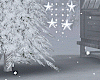  Snowy Christmas DC