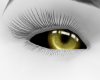 𝒩. Lime Eyes BO F/M