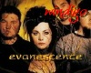 Evanescence stic. w/logo