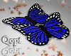 Butterfly Blue Rugs