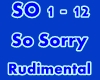 Rudimental - So Sorry