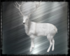 White Stag V2