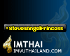 iTag* StevesAngelPrinces