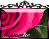 *R* Pink Rose Sticker