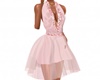Barbie's Party Dress