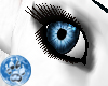 [S]DkBaby Blue Eye {F}