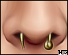 wz Septum Nose Gold v2