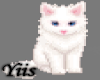 YIIS | Kitty Cutout