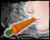 [SS] Carrot Nibbler (M)