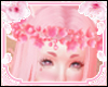 Yun.Flower 桃 fox