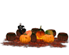 asientos hallowen