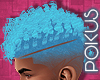 Budgie Frohawk