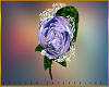 [UE] BOUTONNIERE PRPL MX
