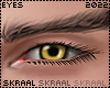 S| Yellow eyes