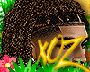 xOz Dajour Lox '25