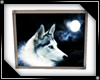 * White Wolf Wall pic