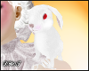 D- White Rabbit Pet