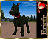 [Efr] Scotish Dog BlkFur