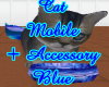 cat + accessory