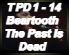 The Past Is Dead Beartoo