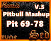 |S| Pitbull Mashup 5