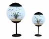Orbs AQUARIUMS