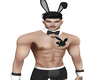 Bunny Outfit