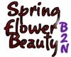 B2N-SpringFlowerBeauty