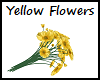 Yellow Flowers - R