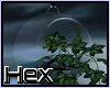 Hex Hanging Ivy Globe