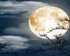 ! MAGIC NIGHT BACKGROUND
