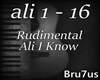 Rudimental - Ali I Know