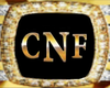 CNF 24K Gold Ring