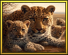 🐆 Leopard Family BG