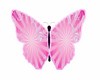 Pink Wall Butterfly V3