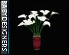 Lily Plant 2