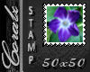 Purple Flower 50x50 CZ