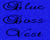 [KW]  Blue Vest